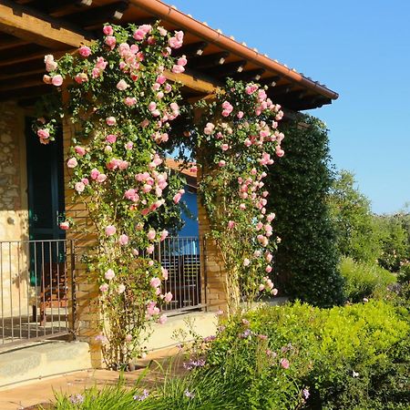 Casa Maria Agriturismo Magliano in Toscana Bagian luar foto