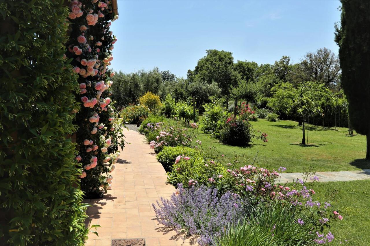 Casa Maria Agriturismo Magliano in Toscana Bagian luar foto