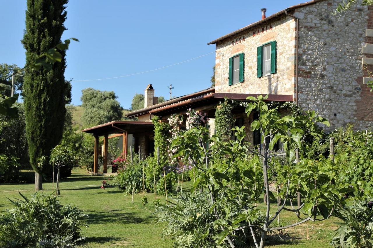 Casa Maria Agriturismo Magliano in Toscana Bagian luar foto