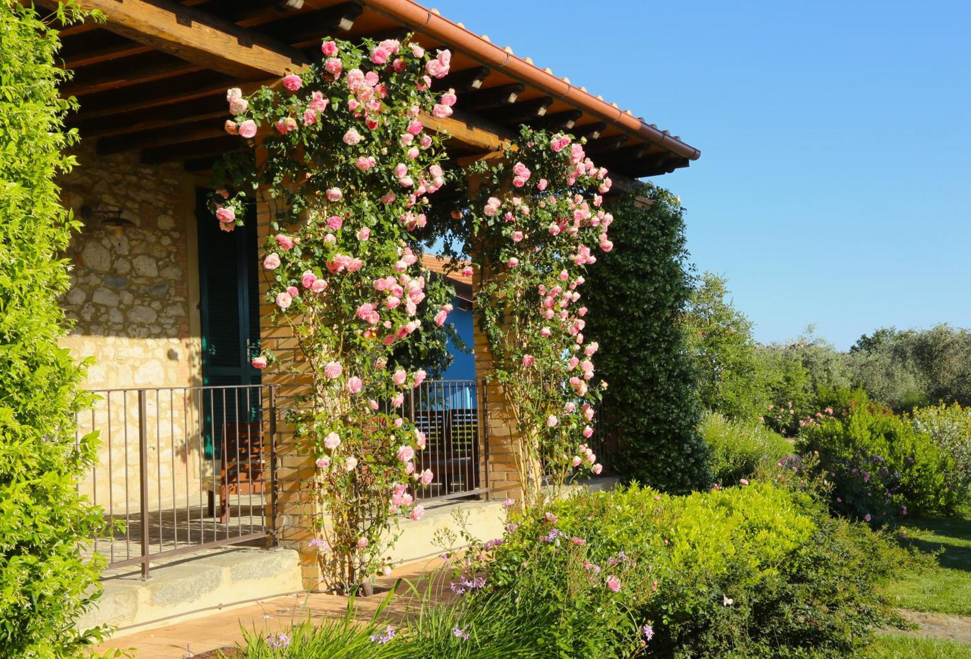 Casa Maria Agriturismo Magliano in Toscana Bagian luar foto