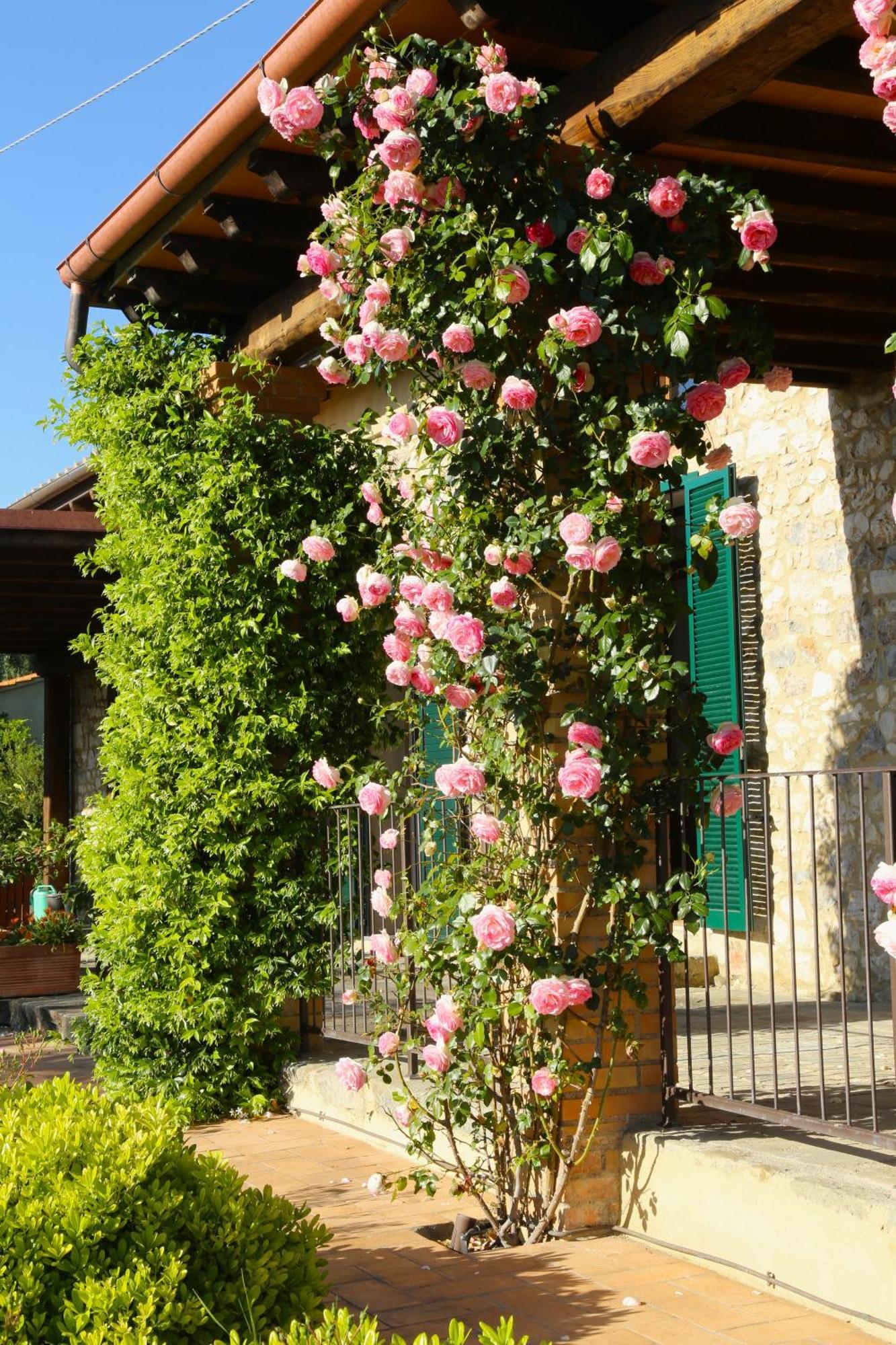 Casa Maria Agriturismo Magliano in Toscana Bagian luar foto