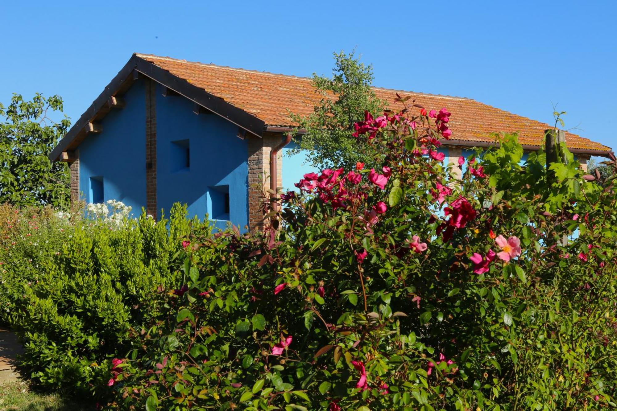 Casa Maria Agriturismo Magliano in Toscana Bagian luar foto