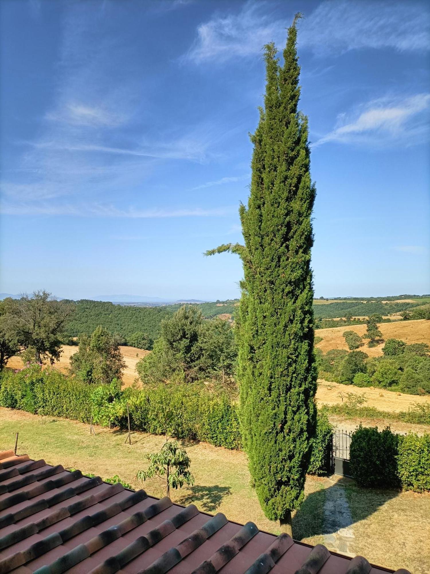 Casa Maria Agriturismo Magliano in Toscana Bagian luar foto