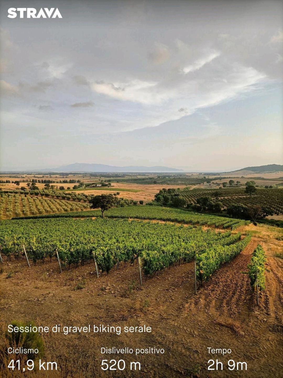 Casa Maria Agriturismo Magliano in Toscana Bagian luar foto